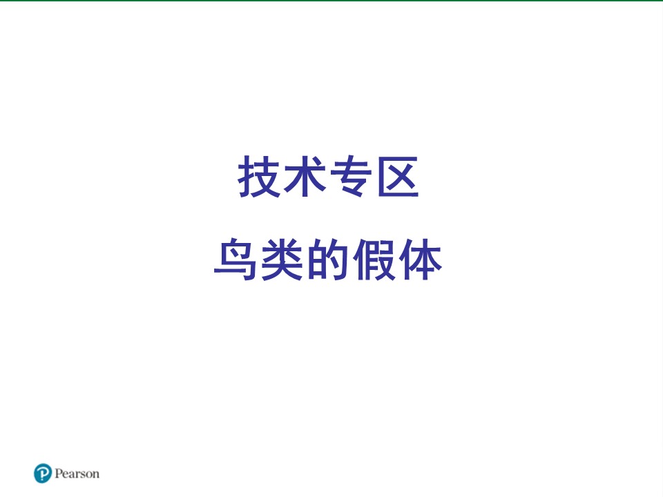 喂鸟器-假体与职业ppt模板