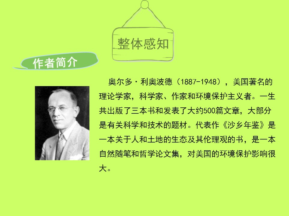 课件雁归来ppt模板