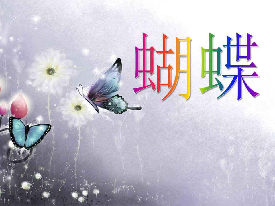 蝴蝶七年级下册课件ppt模板