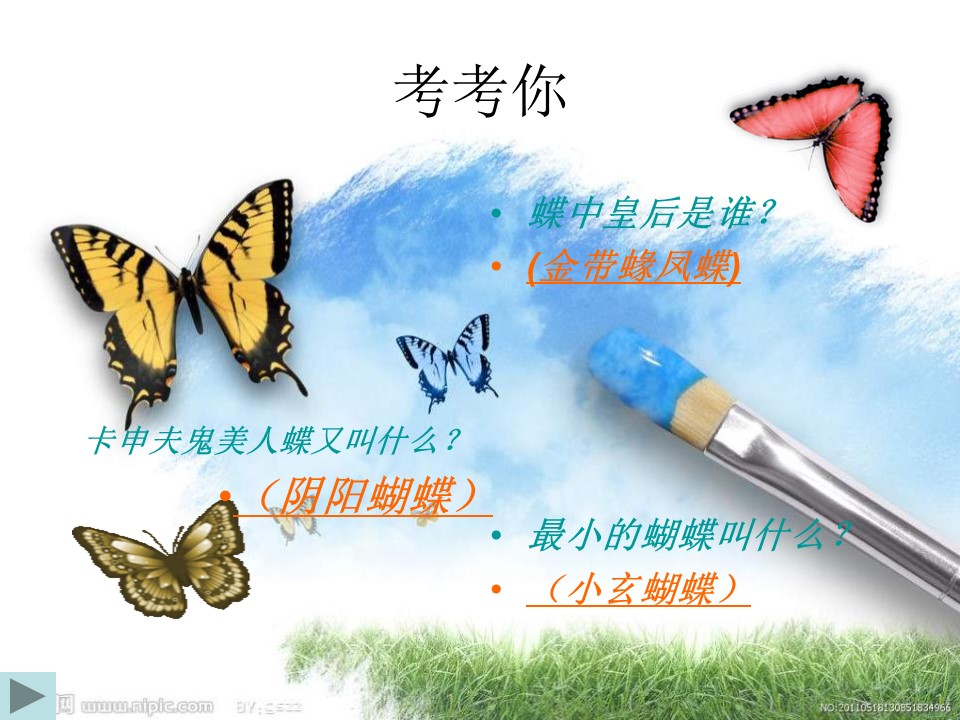 八年级上册蝴蝶课件ppt模板