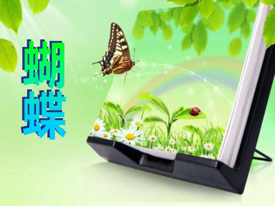八年级上册蝴蝶课件ppt模板