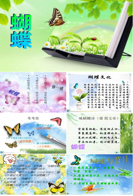 八年级上册蝴蝶课件ppt模板