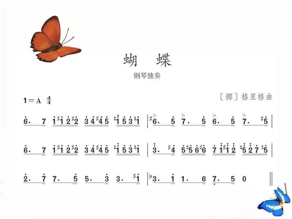 蝴蝶七年级下册课件ppt模板