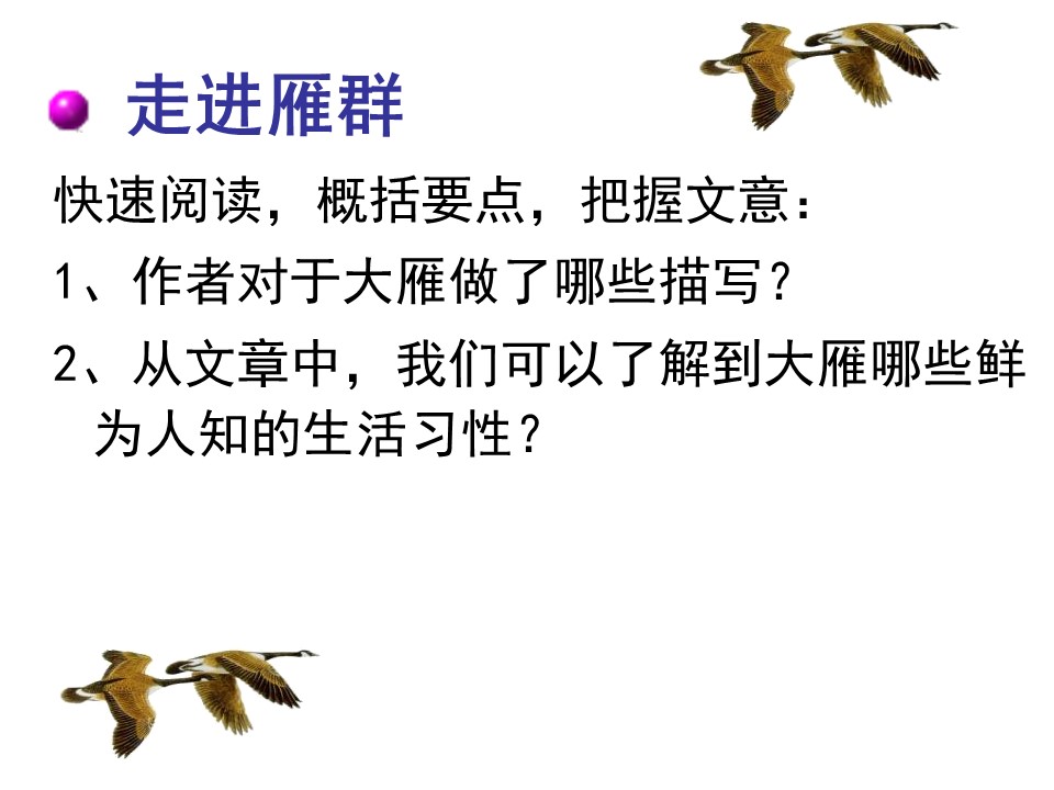 鲁教版燕归来ppt模板