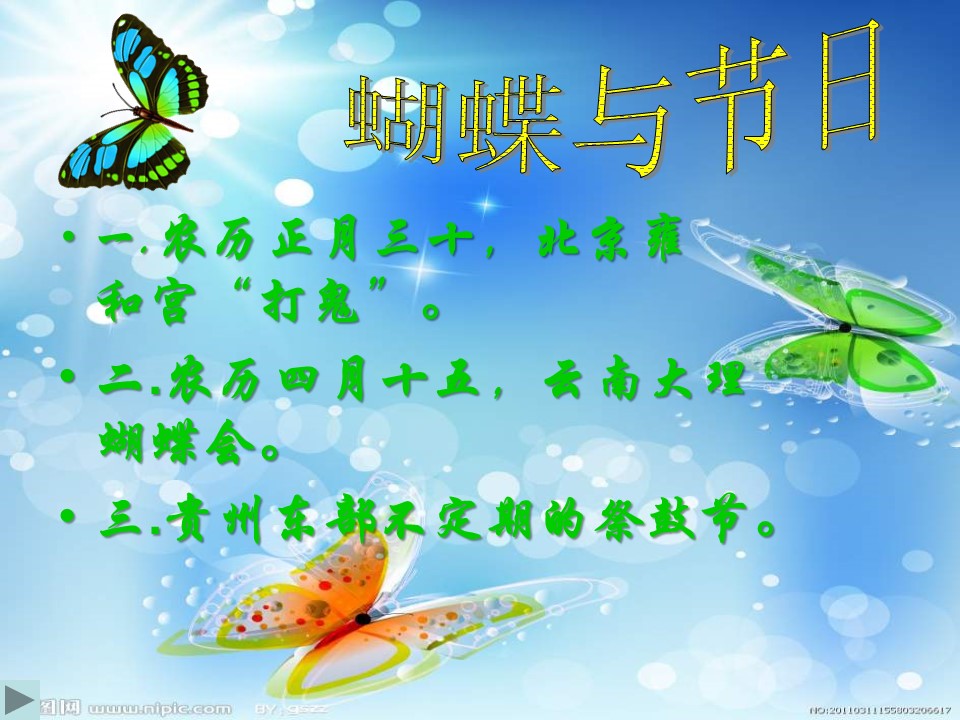 八年级上册蝴蝶课件ppt模板