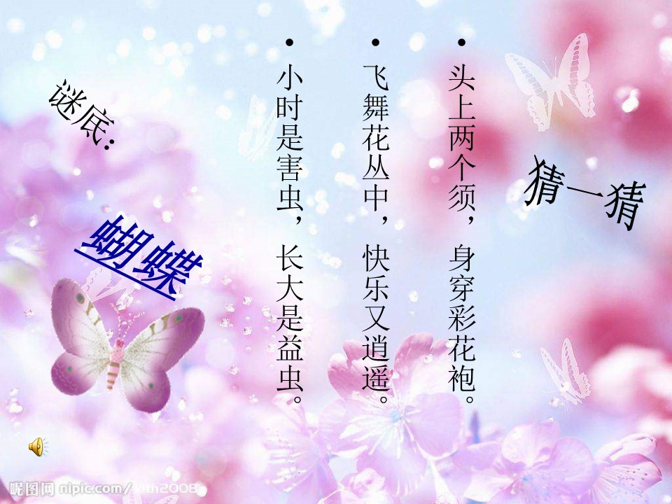 八年级上册蝴蝶课件ppt模板
