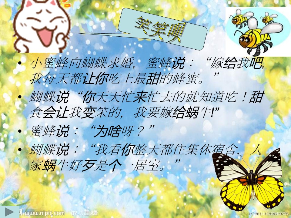 八年级上册蝴蝶课件ppt模板