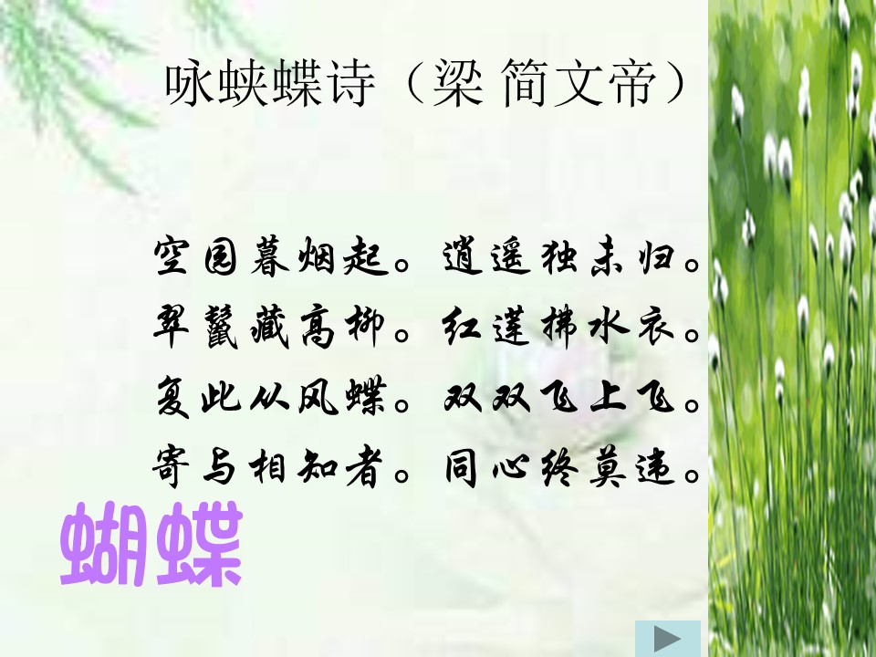 八年级上册蝴蝶课件ppt模板