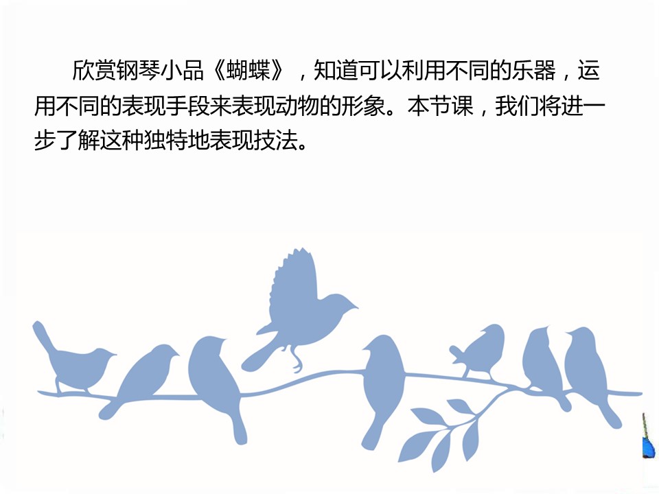 蝴蝶七年级下册课件ppt模板