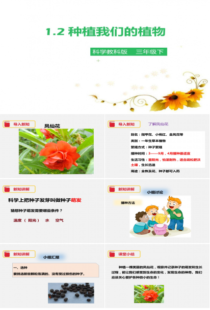 种植我们的植物ppy课件模板