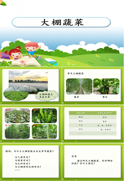 大棚蔬菜课件ppt模板