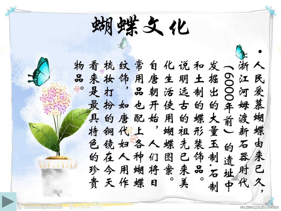 八年级上册蝴蝶课件ppt模板