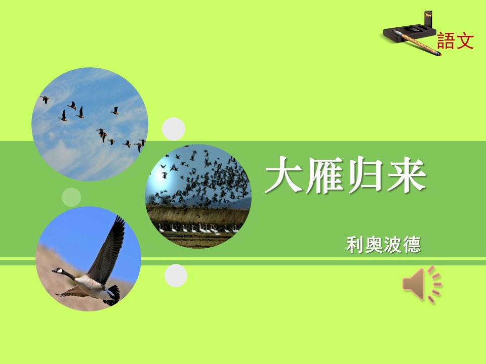 课件雁归来ppt模板