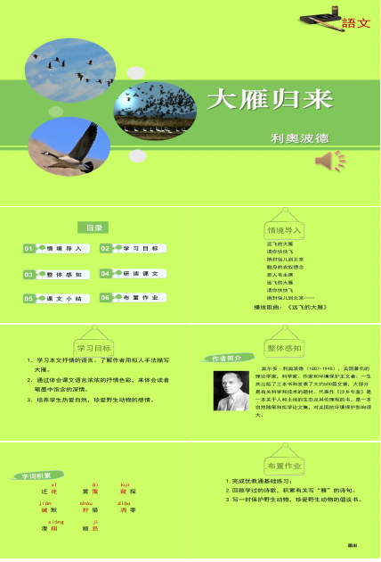 课件雁归来ppt模板
