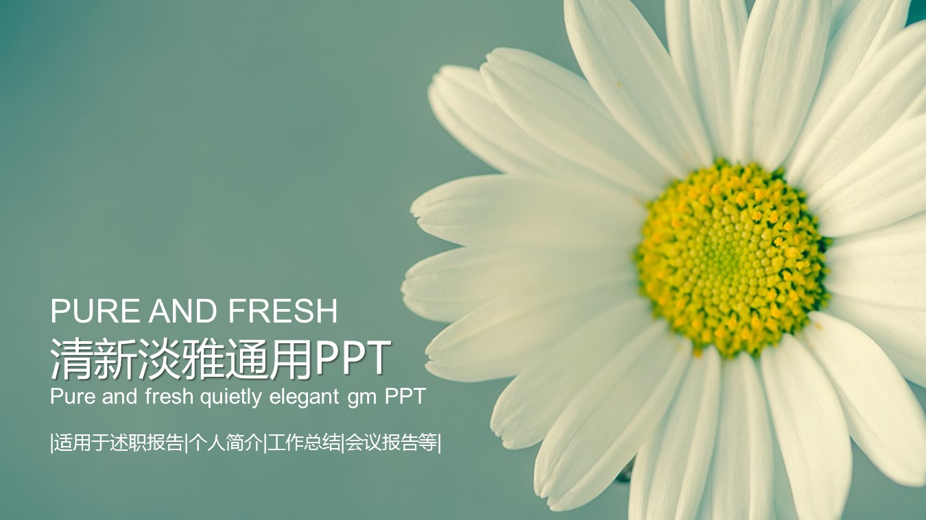 花卉ppt模板