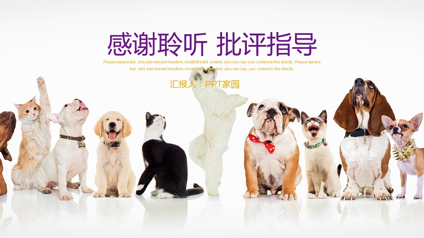 宠物护理ppt模板