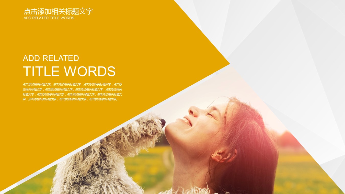 宠物护理ppt模板