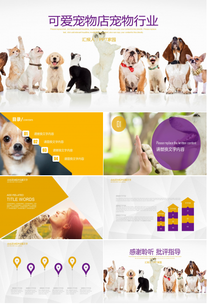 宠物护理ppt模板