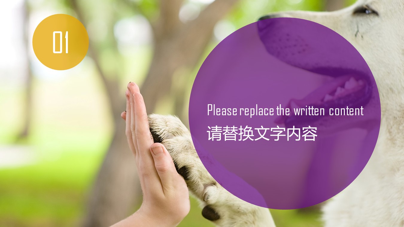 宠物护理ppt模板