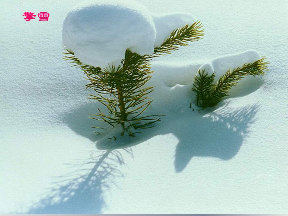 沁园春-雪ppt模板