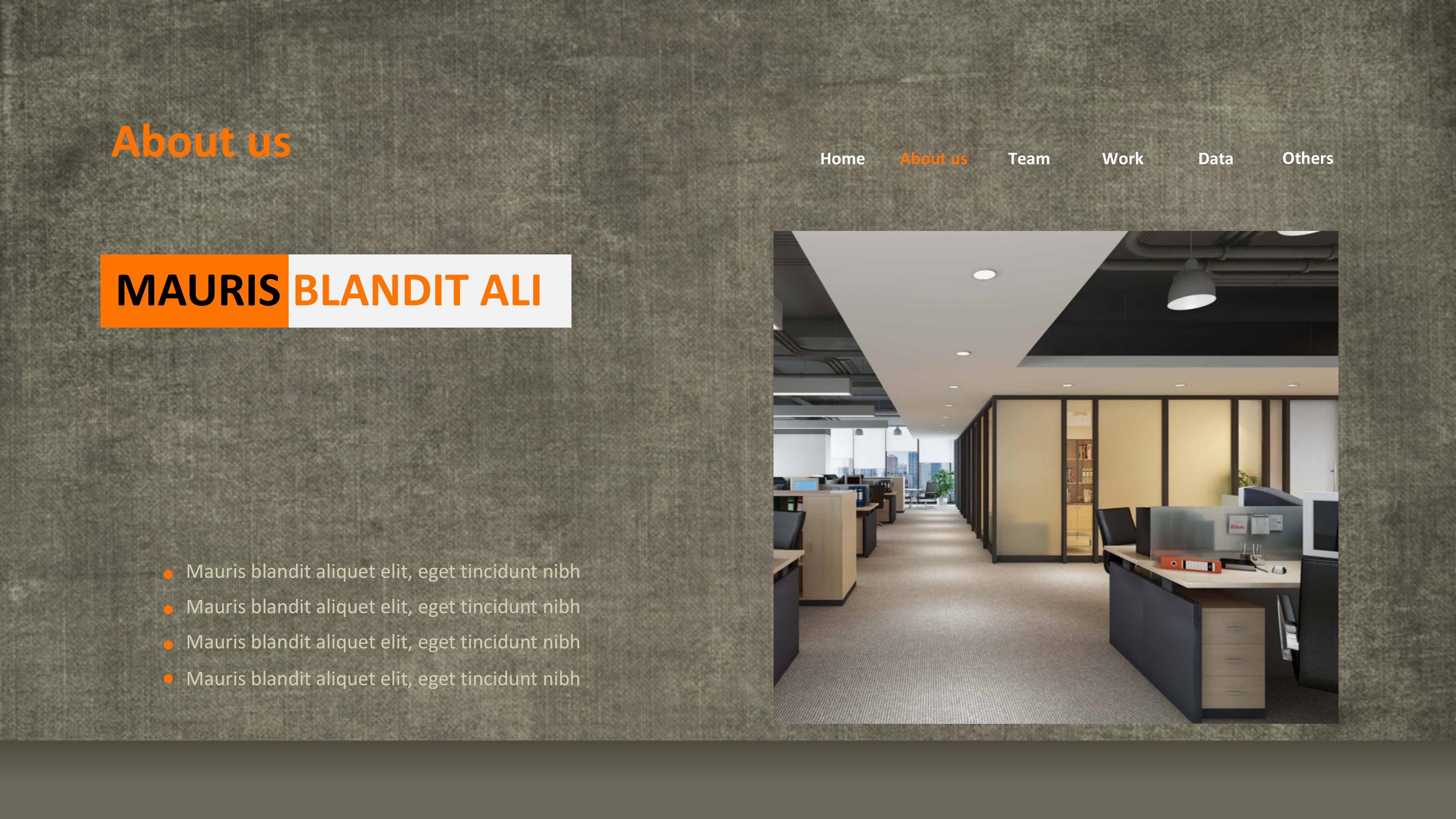 手机软件页面展示ppt模板