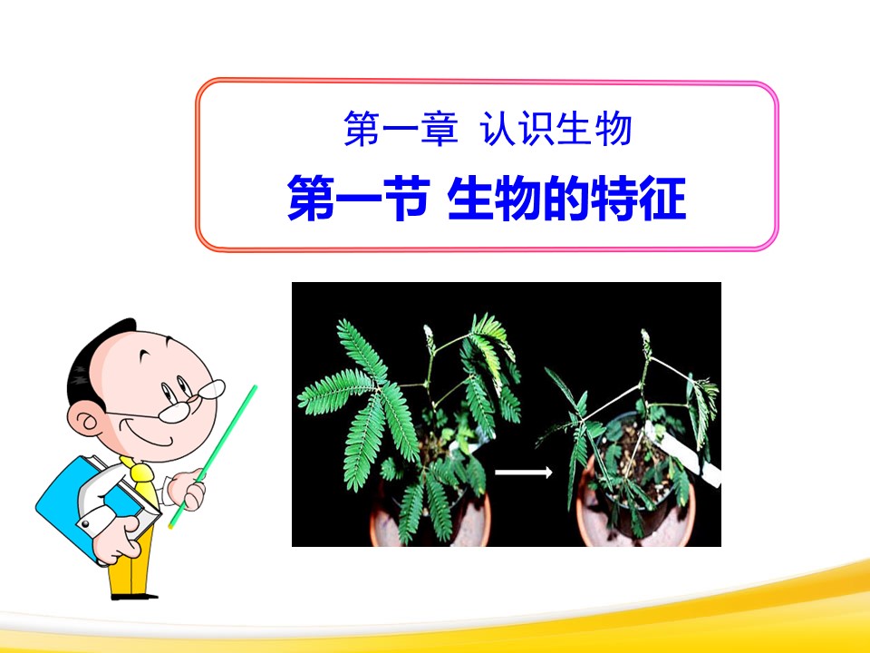 生物的特征课件ppt模板