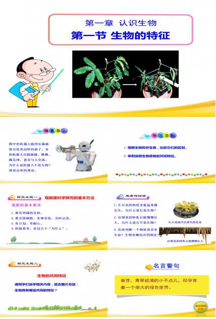 生物的特征课件ppt模板