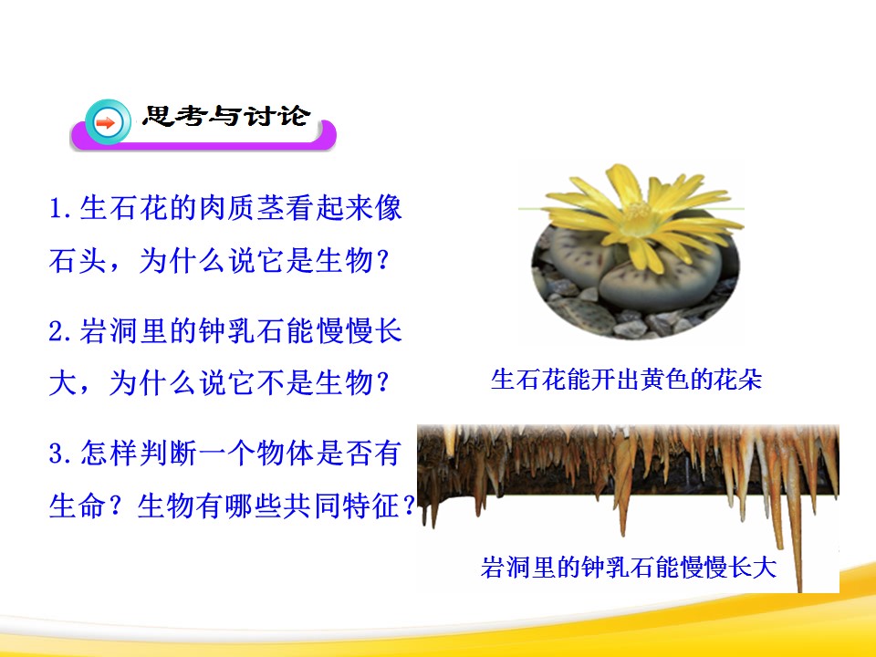 生物的特征课件ppt模板