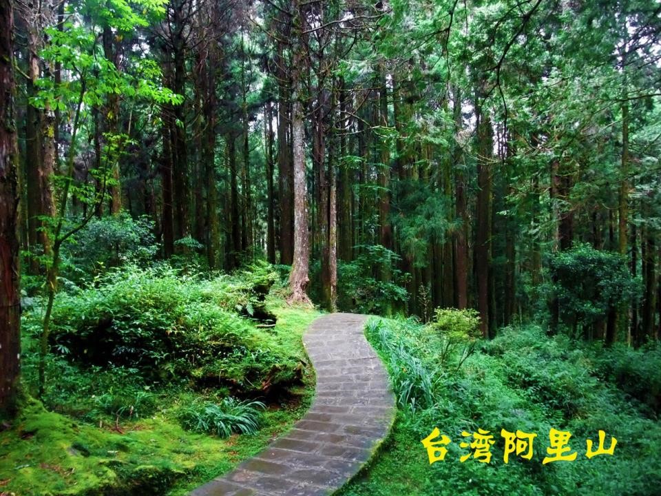 难忘的一课ppt模板