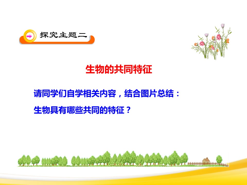 生物的特征课件ppt模板