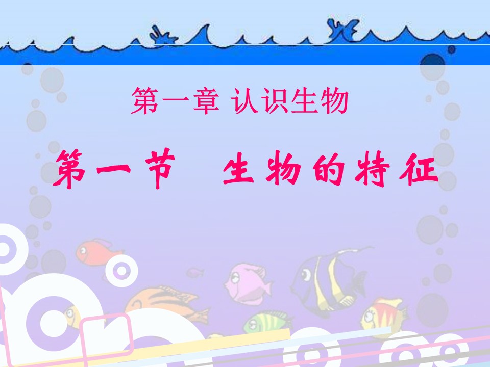 生物的特征ppt课件模板