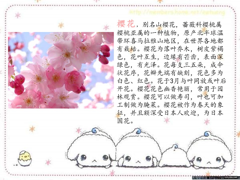 樱花花语ppt模板