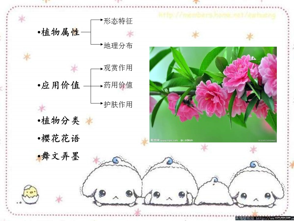 樱花花语ppt模板
