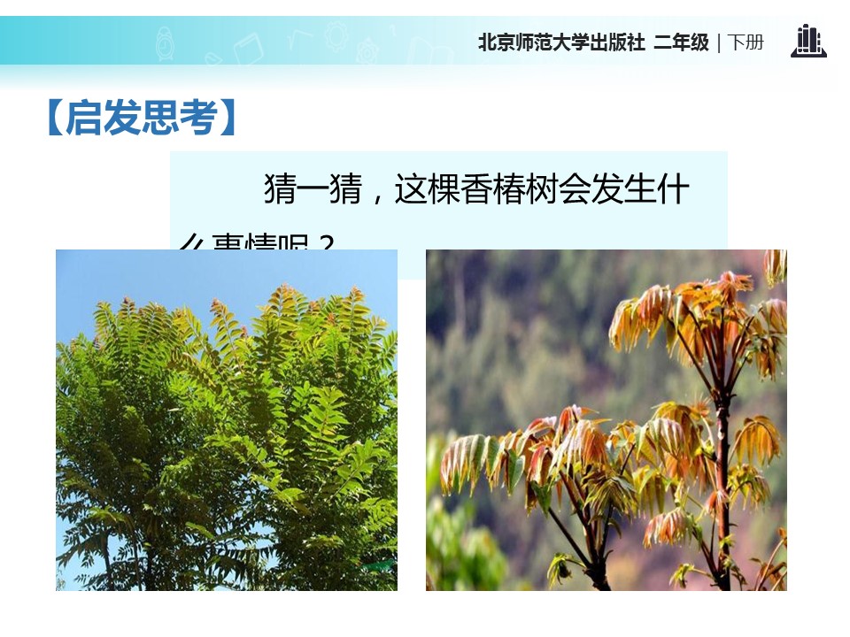 一片树叶ppt模板