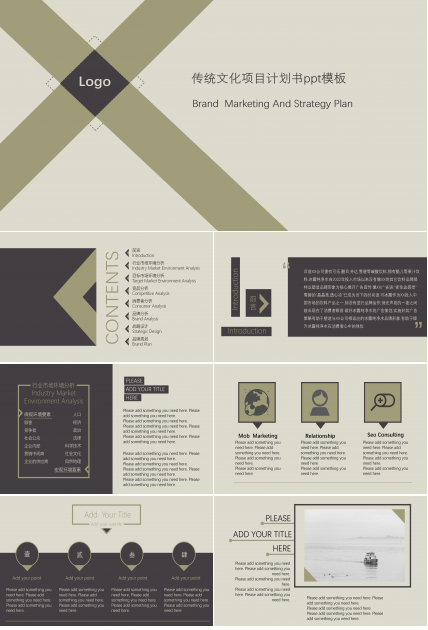 传统文化项目计划书ppt模板
