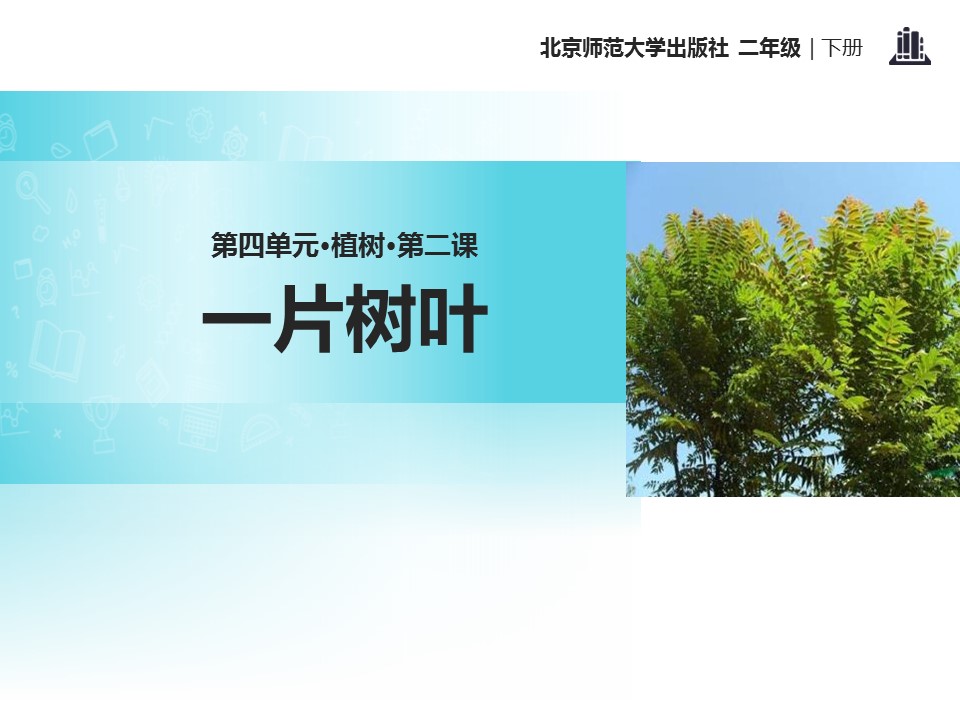 一片树叶ppt模板