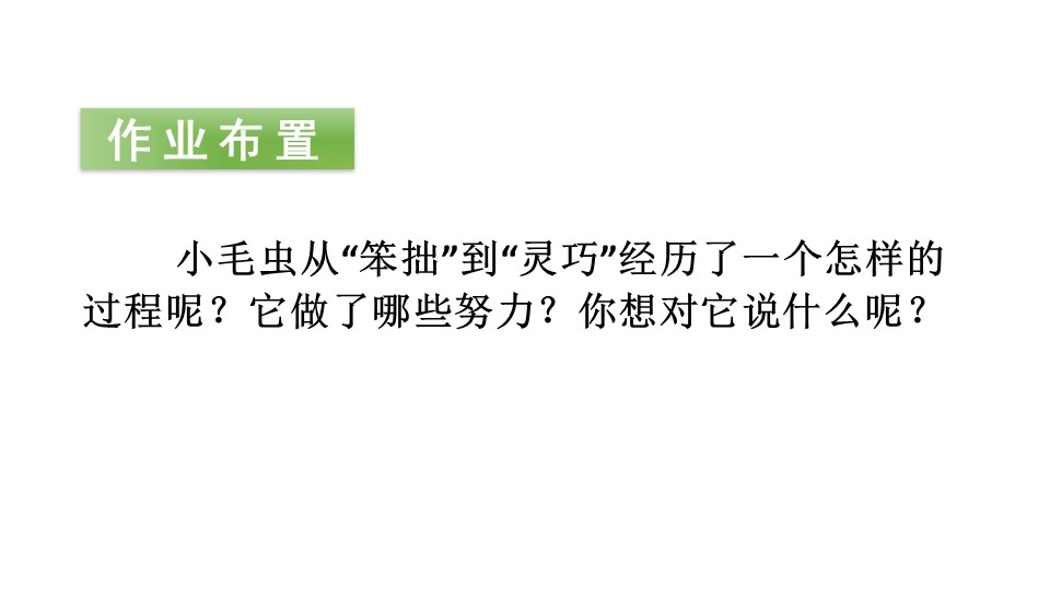 小毛虫第二课时ppt模板