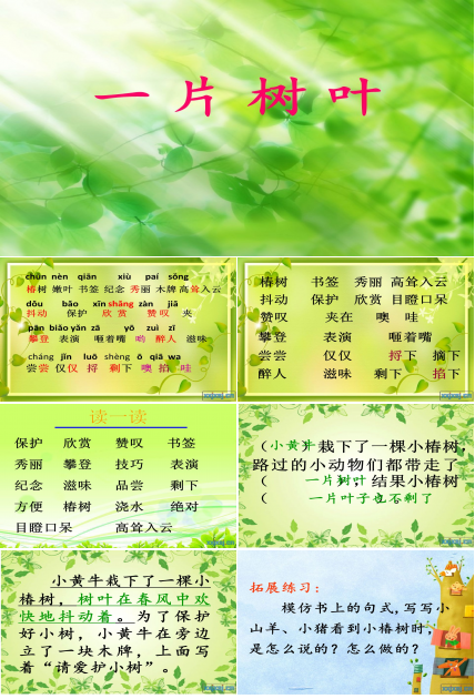 一片树叶教学课件ppt模板