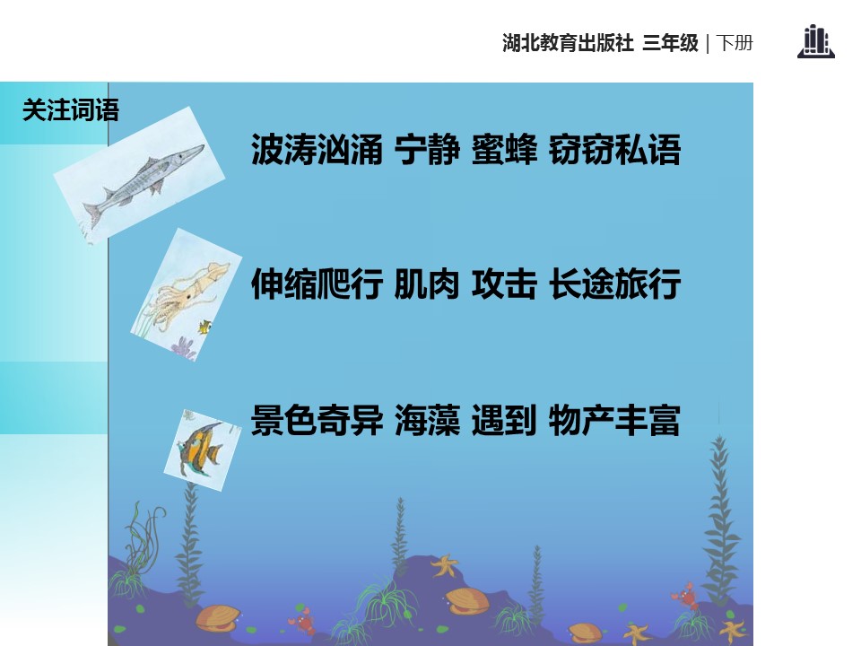 海底世界课件ppt模板