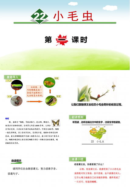 小毛虫ppt模板