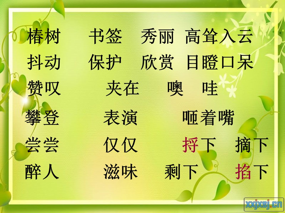 一片树叶教学课件ppt模板