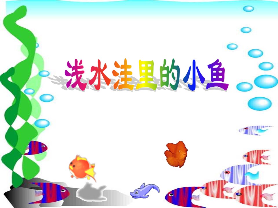浅水洼里的小鱼课件ppt模板