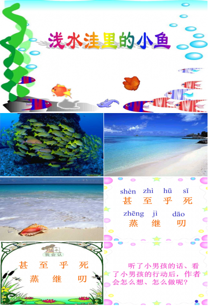 浅水洼里的小鱼课件ppt模板