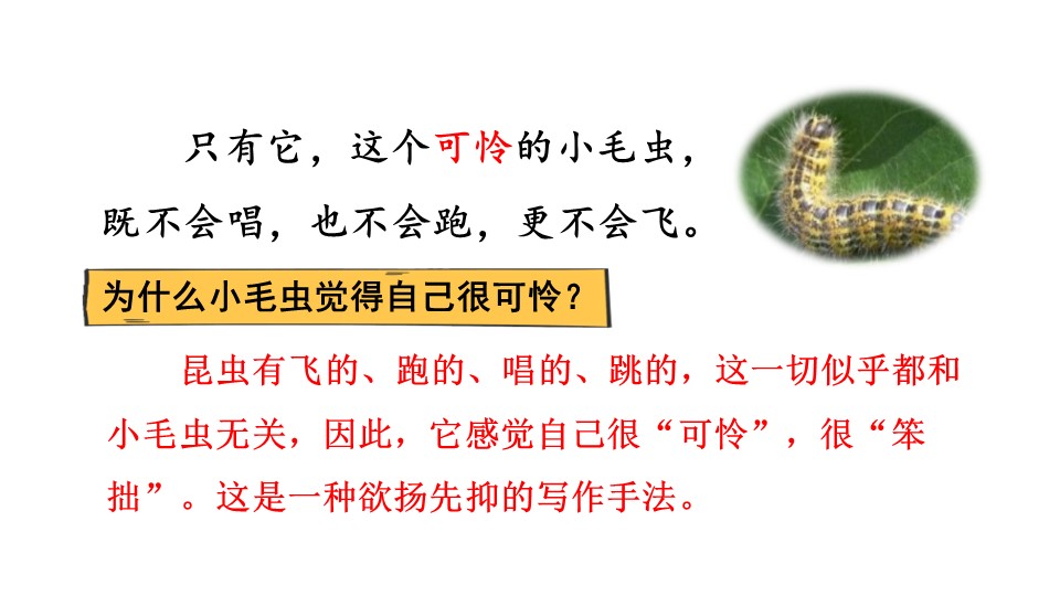 小毛虫第二课时ppt模板
