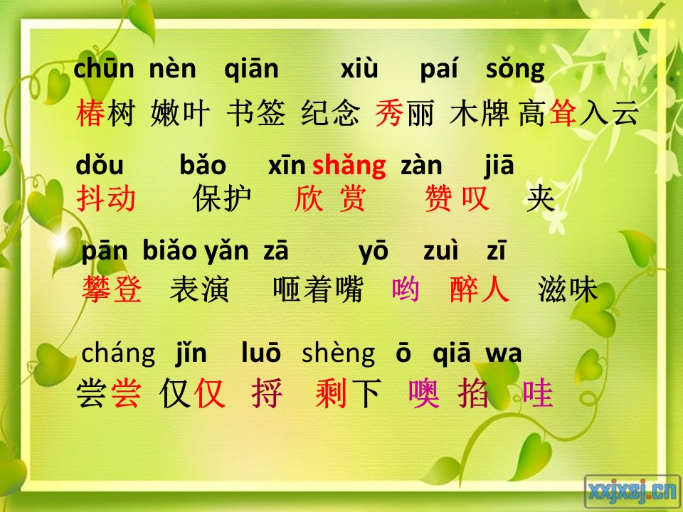 一片树叶教学课件ppt模板