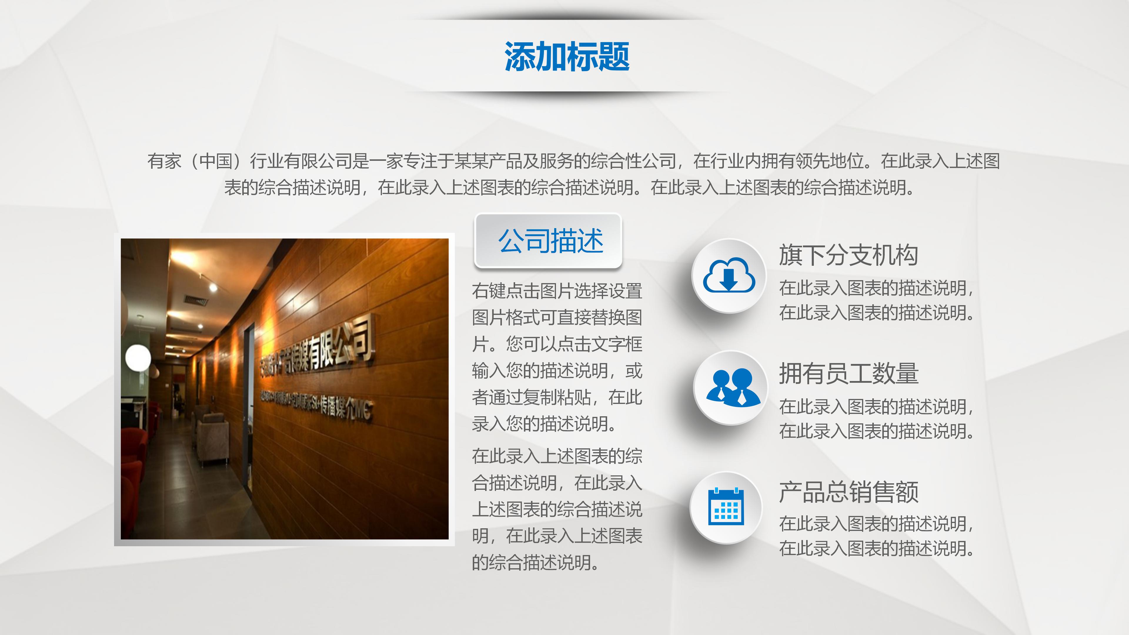 美容项目计划书ppt模板