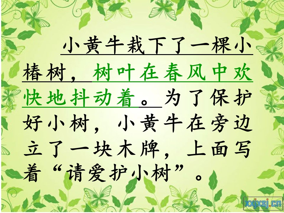 一片树叶教学课件ppt模板