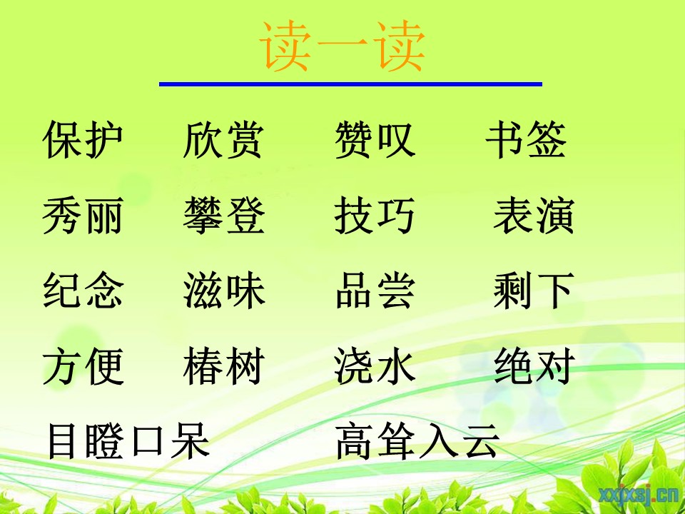 一片树叶教学课件ppt模板