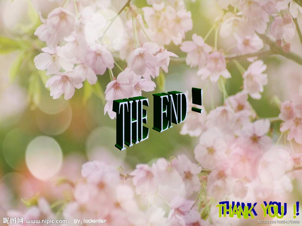 樱花花语ppt模板