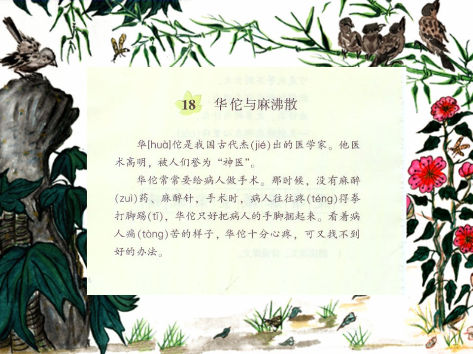 麻醉相关-华佗与麻沸散ppt模板